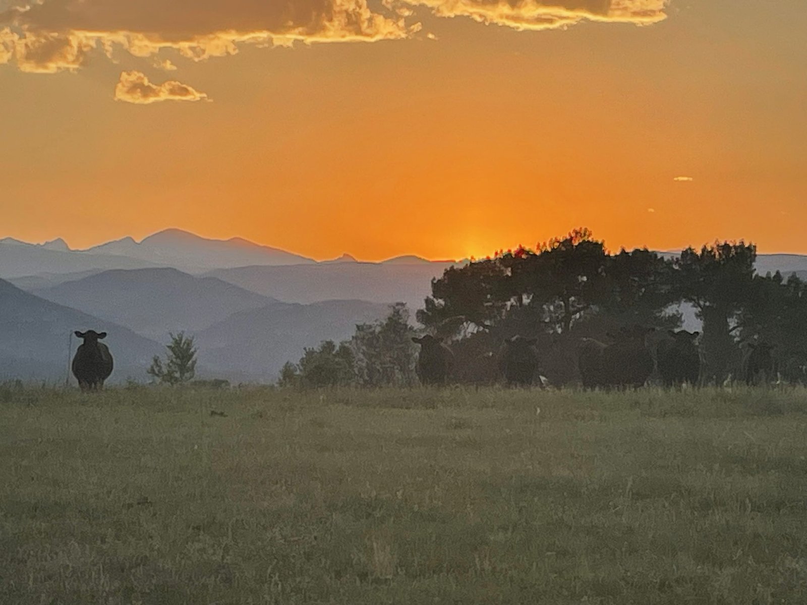 Flatiron Ranch Sunset