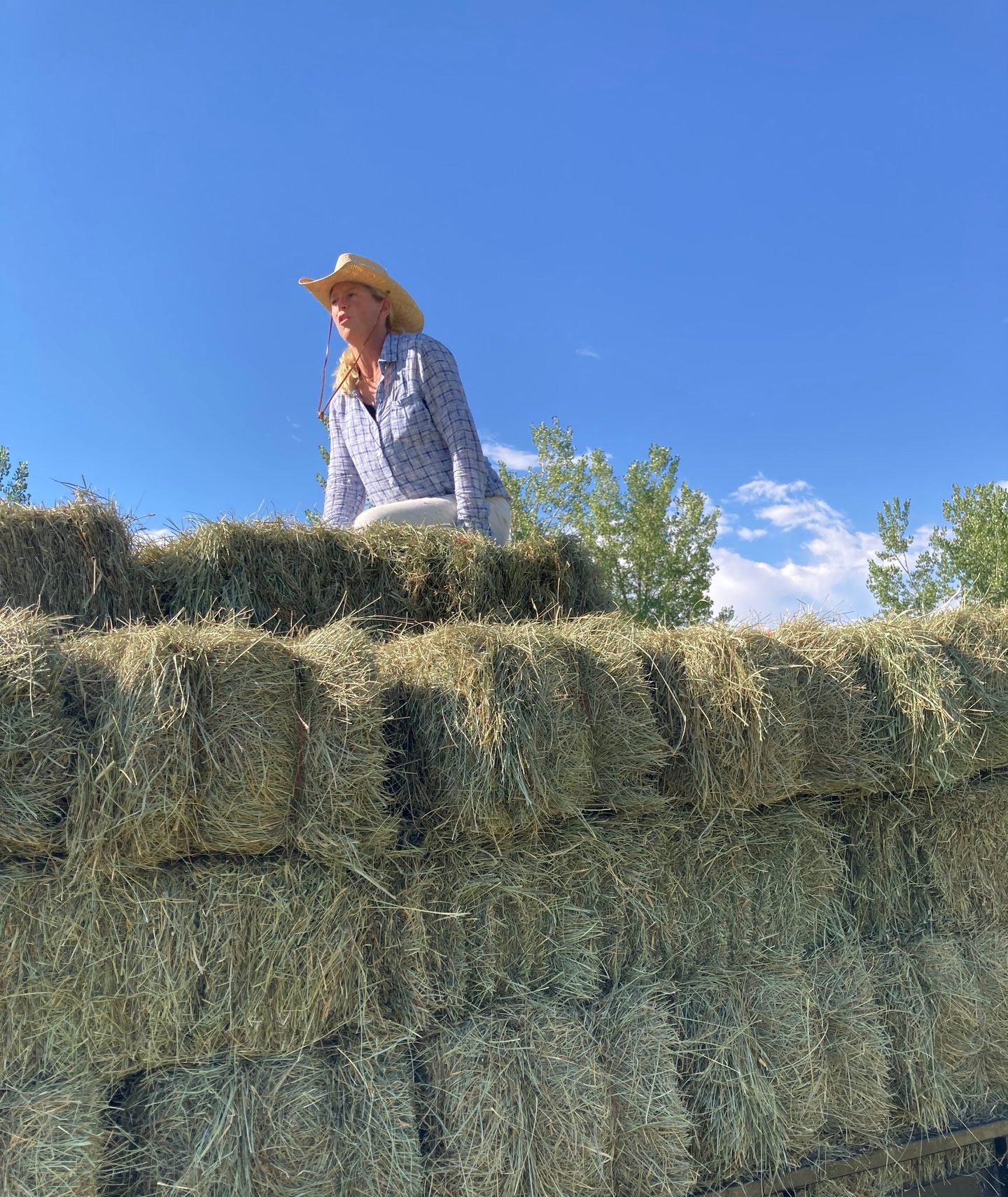 Hay ride