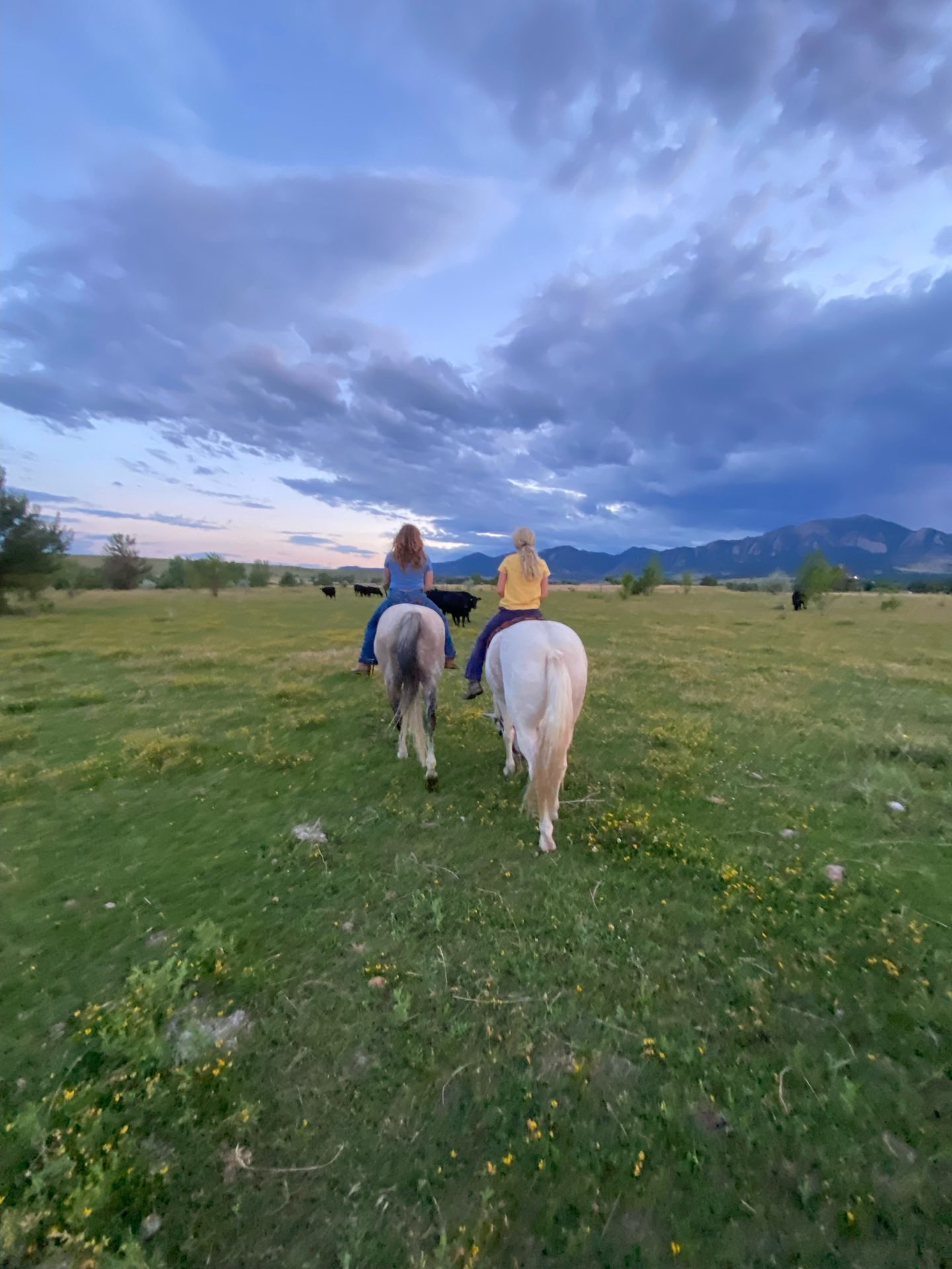 Riding horses